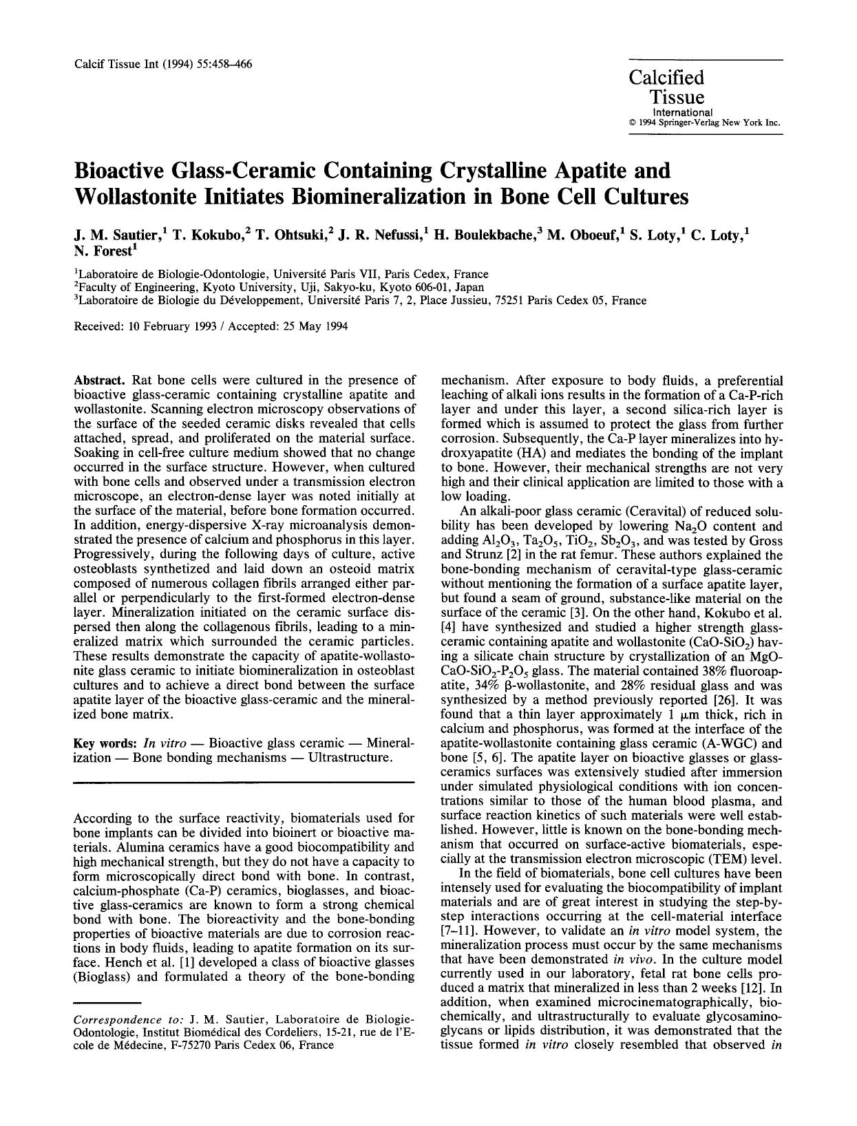 Bioactive glass-ceramic containing crystalline apatite and wollastonite initiates biomineralization in bone cell cultures by Unknown