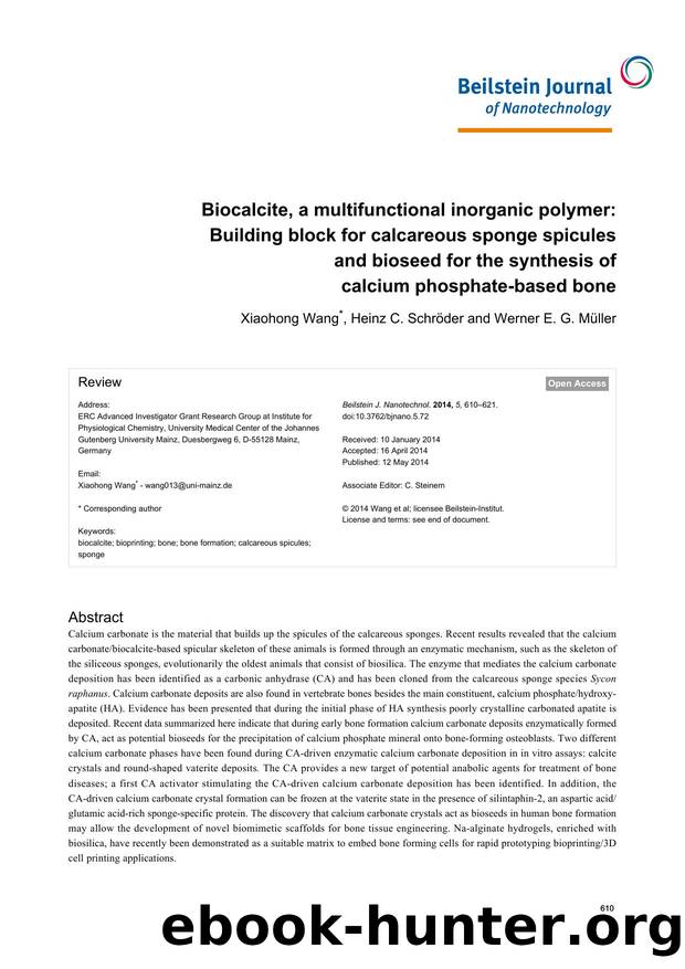 Biocalcite, a multifunctional inorganic polymer: Building block for calcareous sponge spicules and bioseed for the synthesis of calcium phosphate-based bone by Xiaohong Wang Heinz C. Schröder Werner E. G. Müller