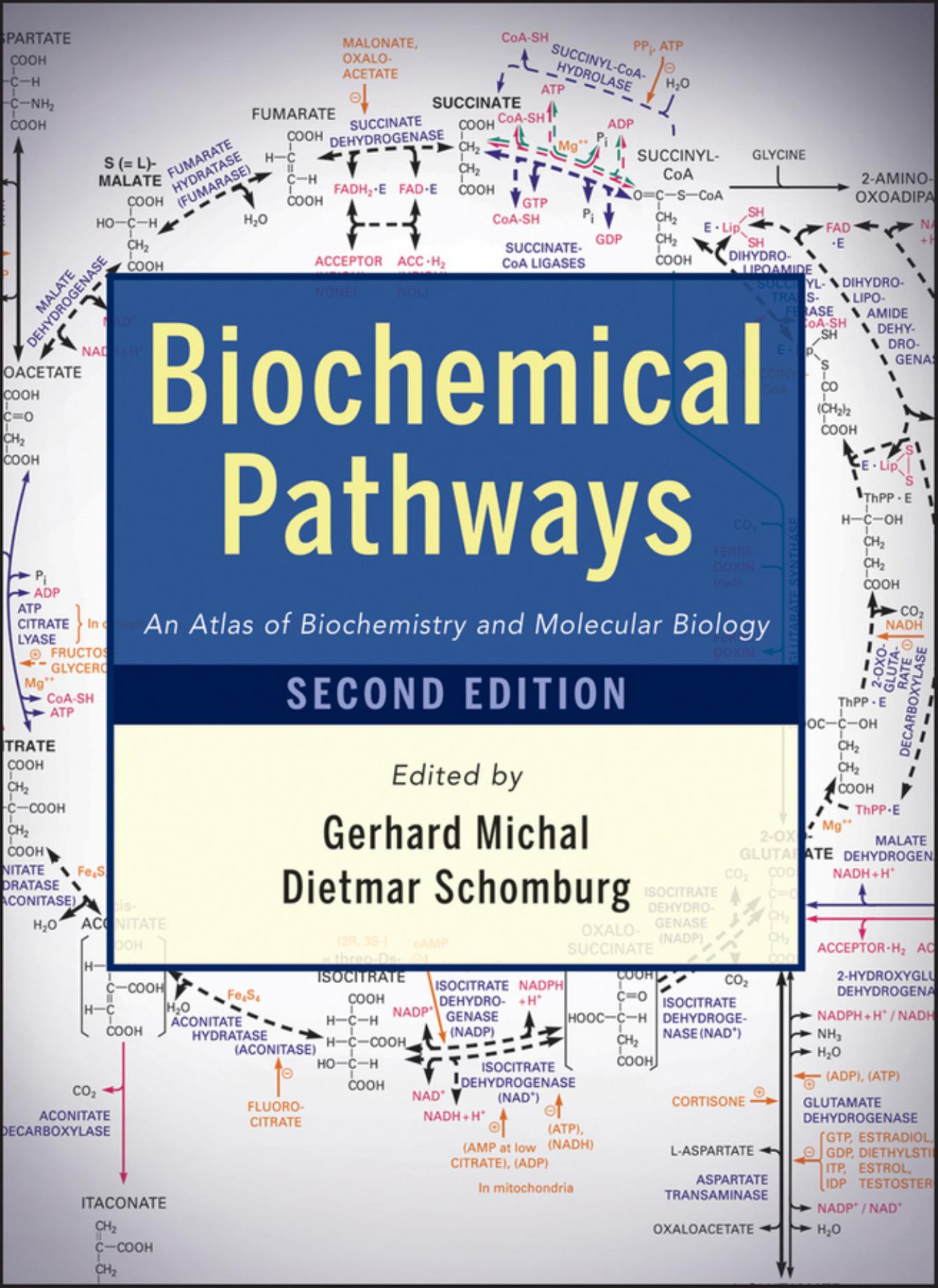 Biochemical Pathways: An Atlas of Biochemistry and Molecular Biology by Gerhard Michal Dietmar Schomburg