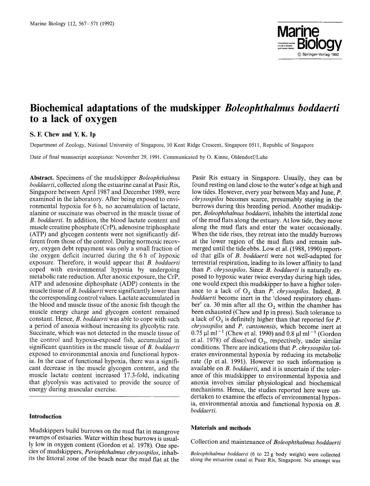 Biochemical adaptations of the mudskipper <Emphasis Type="Italic">Boleophthalmus boddaerti<Emphasis> to a lack of oxygen by Unknown