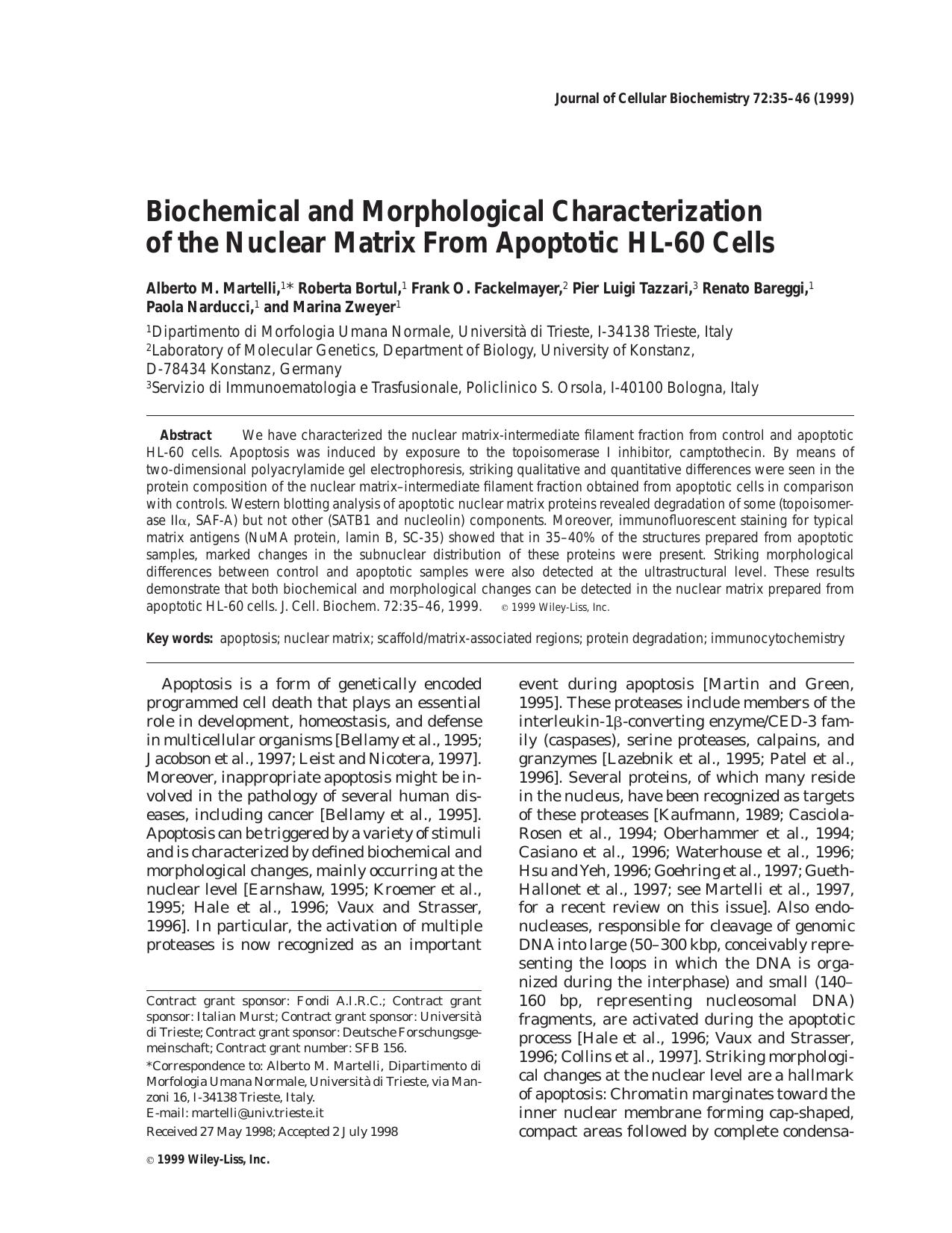 Biochemical and morphological characterization of the nuclear matrix from apoptotic HL-60 cells by Unknown