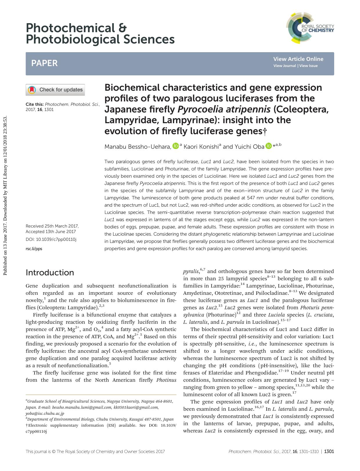Biochemical characteristics and gene expression profiles of two paralogous luciferases from the Japanese firefly Pyrocoelia atripennis (Coleoptera, Lampyridae, Lampyrinae): insight by Manabu Bessho-Uehara Kaori Konishi Yuichi Oba