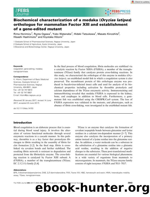 Biochemical characterization of a medaka (Oryzias latipes) orthologue for mammalian Factor XIII and establishment of a geneâedited mutant by Unknown