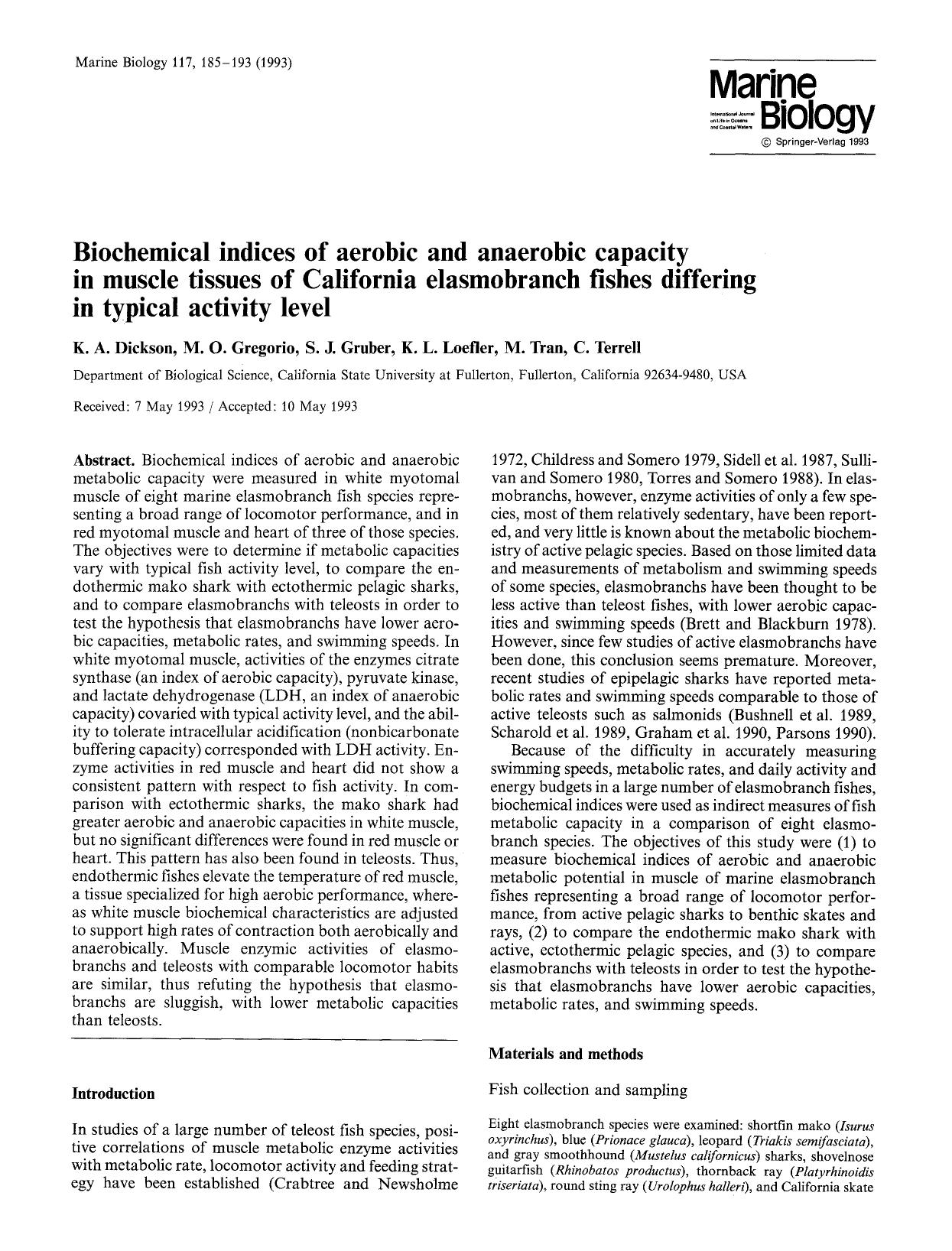 Biochemical indices of aerobic and anaerobic capacity in muscle tissues of California elasmobranch fishes differing in typical activity level by Unknown