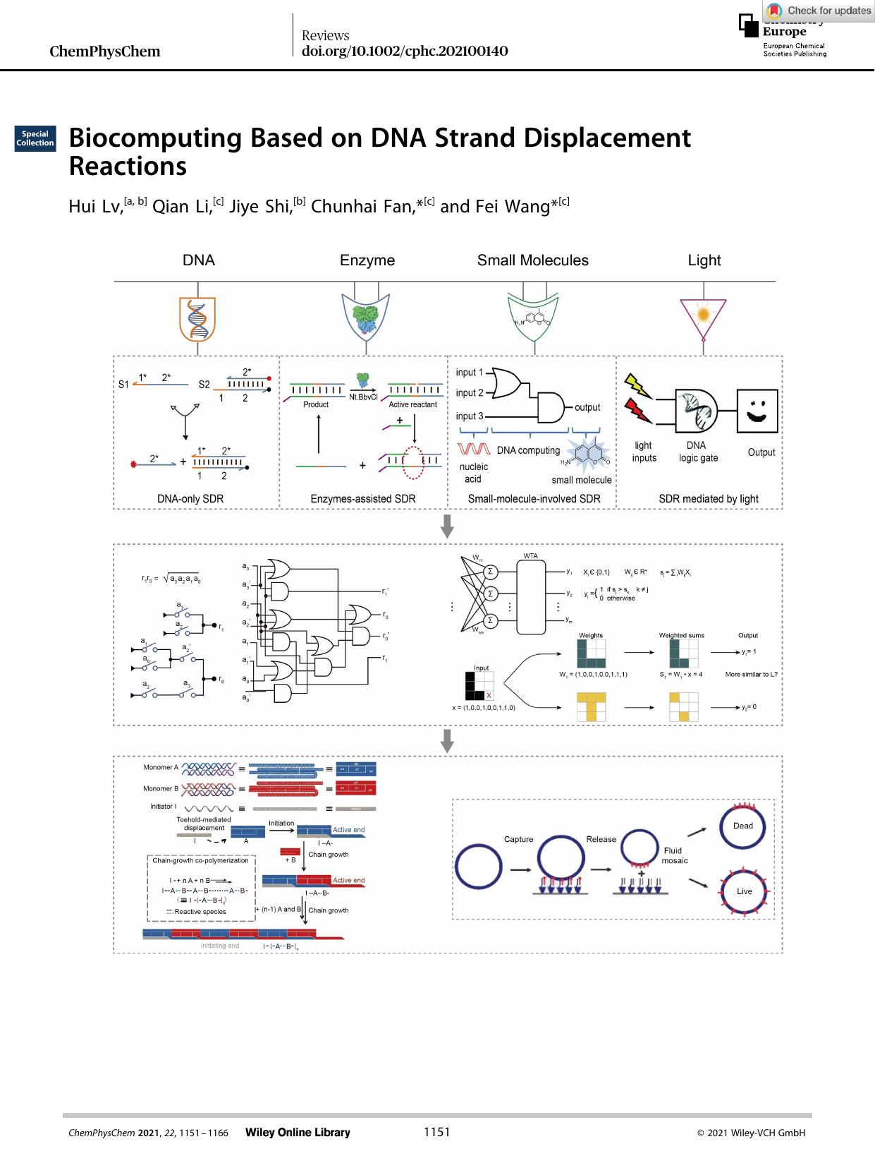 Biocomputing Based on DNA Strand Displacement Reactions by Unknown