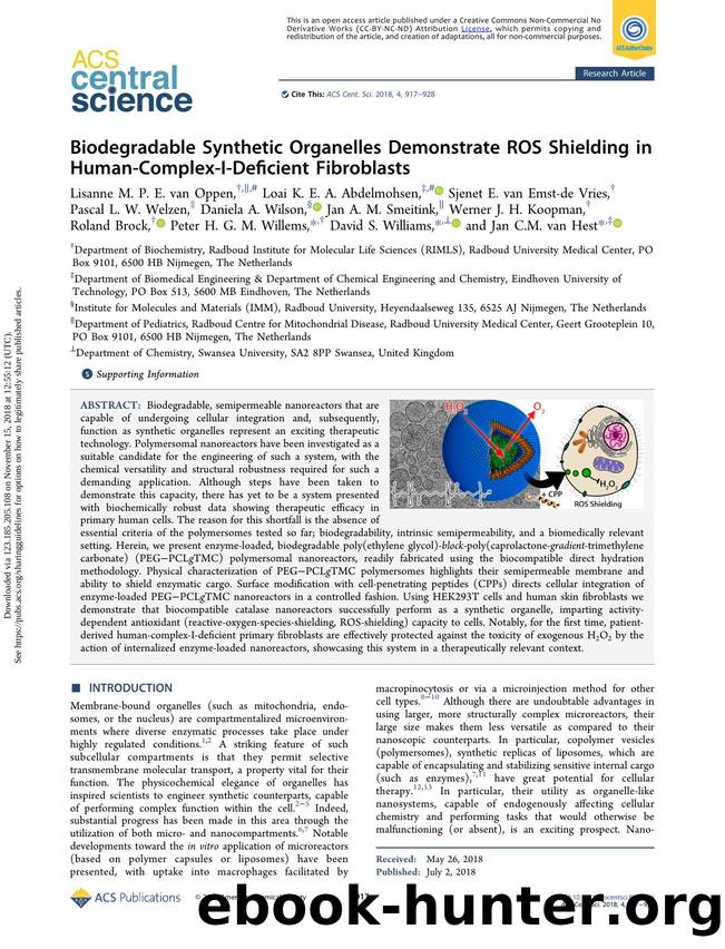 Biodegradable Synthetic Organelles Demonstrate ROS Shielding in Human-Complex-I-Deficient Fibroblasts by unknow