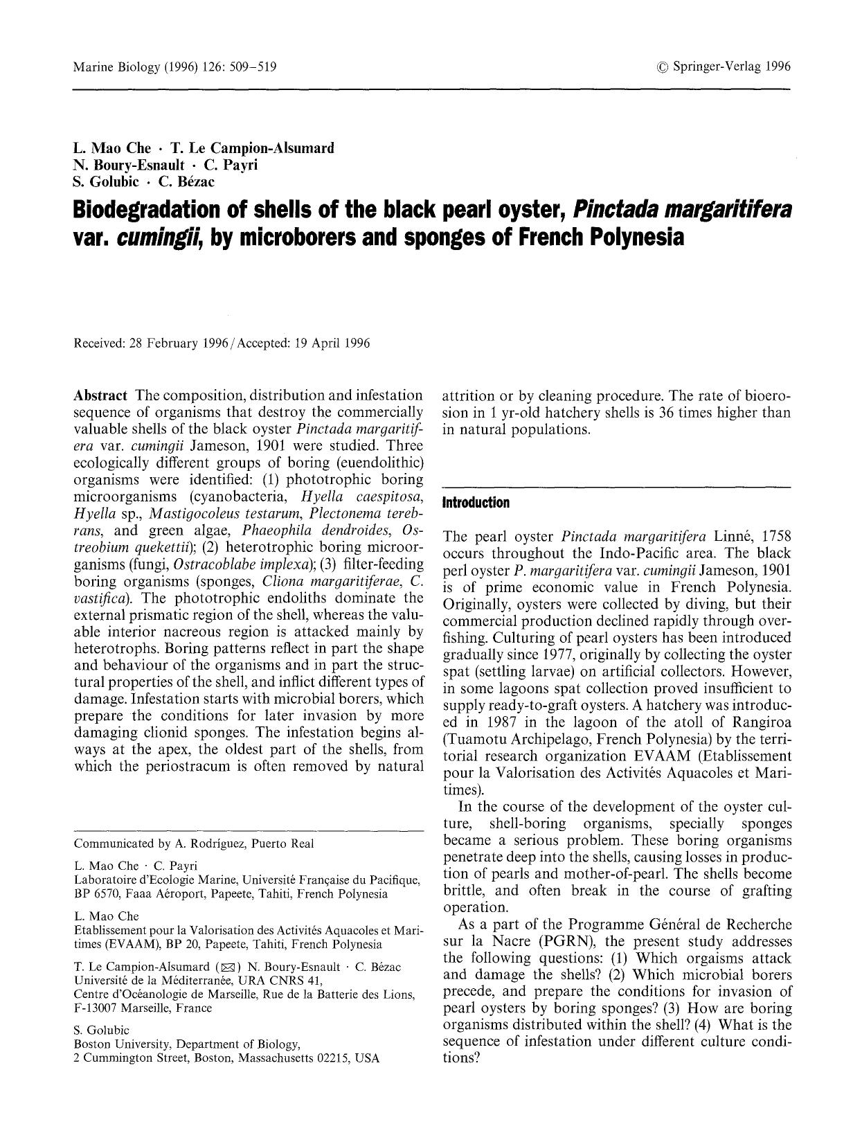 Biodegradation of shells of the black pearl oyster, <Emphasis Type="Italic">Pinctada margaritifera<Emphasis> var. <Emphasis Type="Italic">cumingii<Emphasis>, by microborers and spo by Unknown