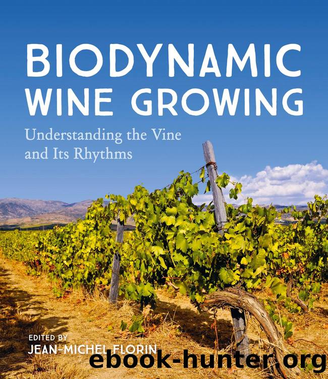 Biodynamic Wine Growing: Understanding the Vine and Its Rhythms by Jean-Michel Florin