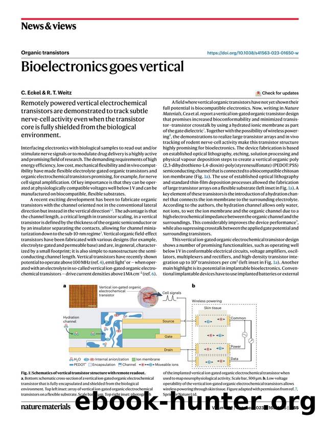 Bioelectronics goes vertical by C. Eckel & R. T. Weitz