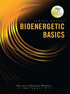 Bioenergetic Basics: The Art of Dynamic Wellness with Goiz Biomagnetic Pairs by Bailey Janice