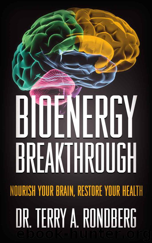 Bioenergy Breakthrough: Nourish Your Brain, Restore Your Health by Terry Rondberg