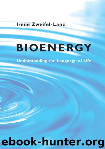 Bioenergy by Irene Zweifel-Lanz
