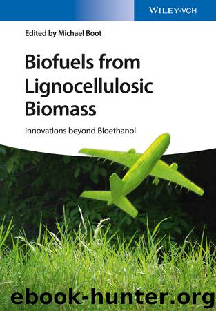 Biofuels From Lignocellulosic Biomass by Boot Michael