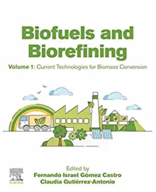 Biofuels and Biorefining: Volume 1: Current Technologies for Biomass Conversion by Fernando Israel Gomez Castro Claudia Gutierrez-Antonio