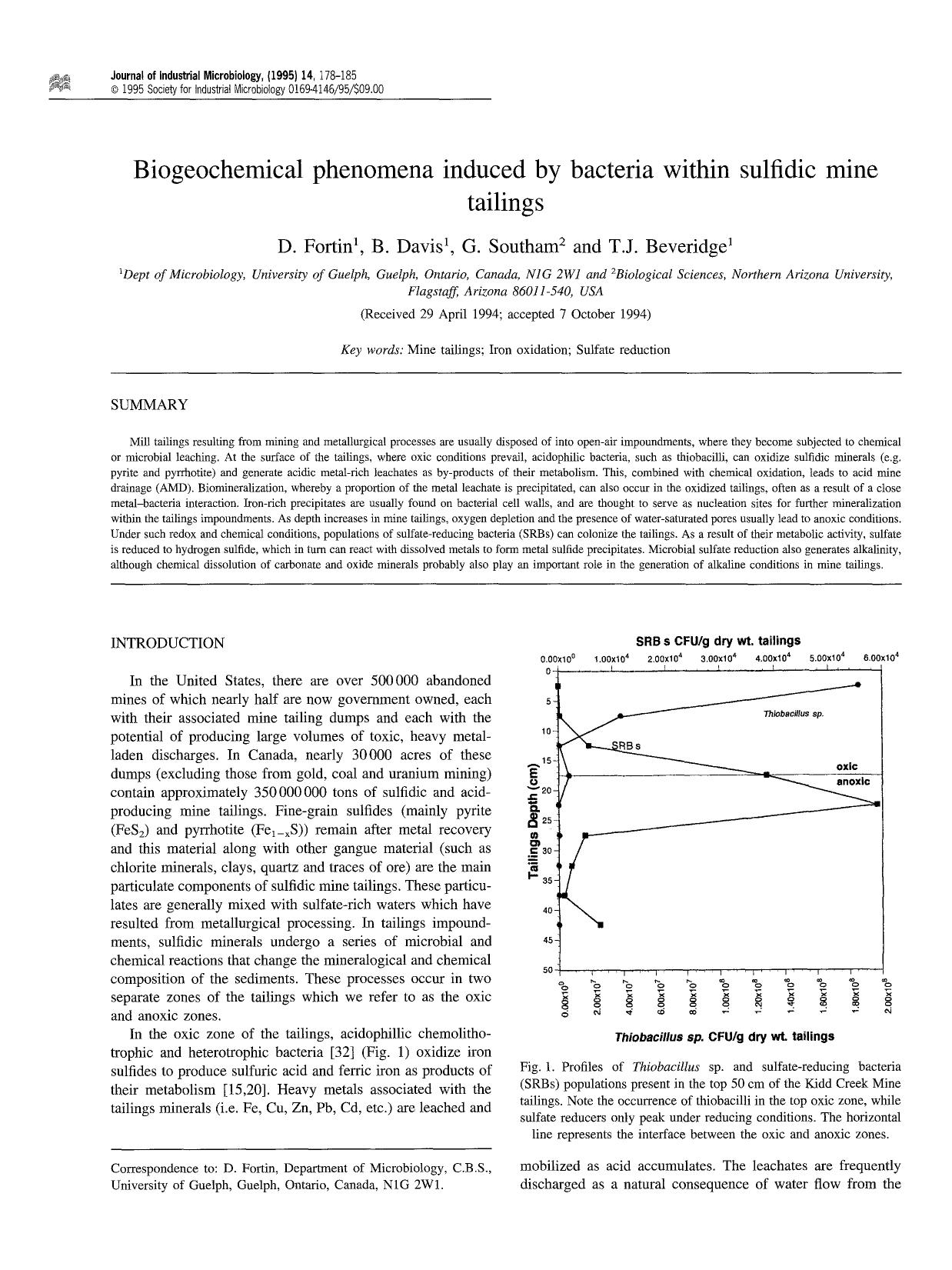 Biogeochemical phenomena induced by bacteria within sulfidic mine tailings by Unknown