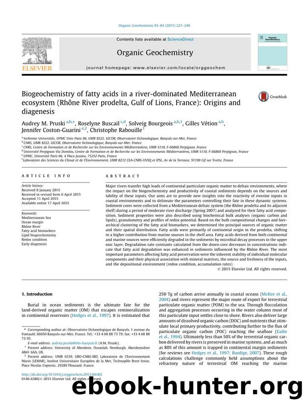 Biogeochemistry of fatty acids in a river-dominated Mediterranean ecosystem (RhÃ´ne River prodelta, Gulf of Lions, France): Origins and diagenesis by unknow