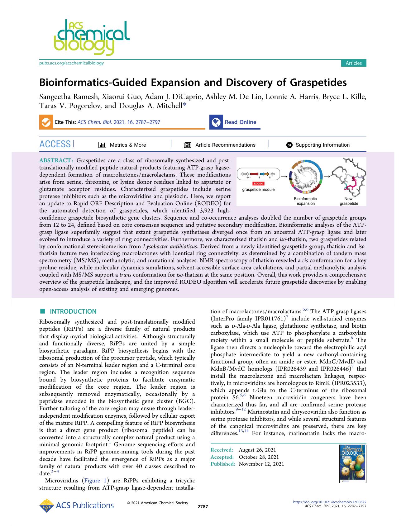 Bioinformatics-Guided Expansion and Discovery of Graspetides by unknow