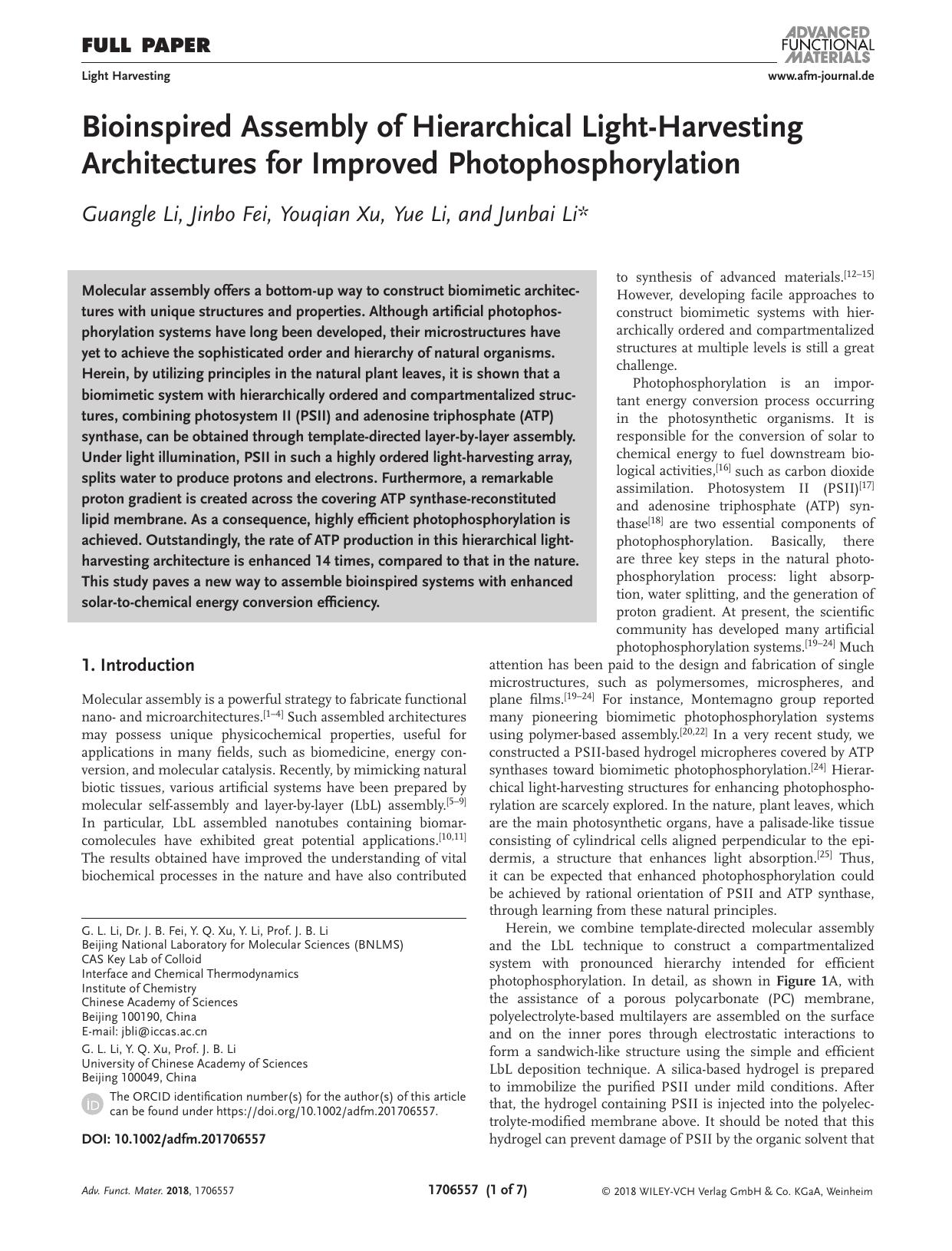 Bioinspired Assembly of Hierarchical Light‐Harvesting Architectures for Improved Photophosphorylation by Unknown
