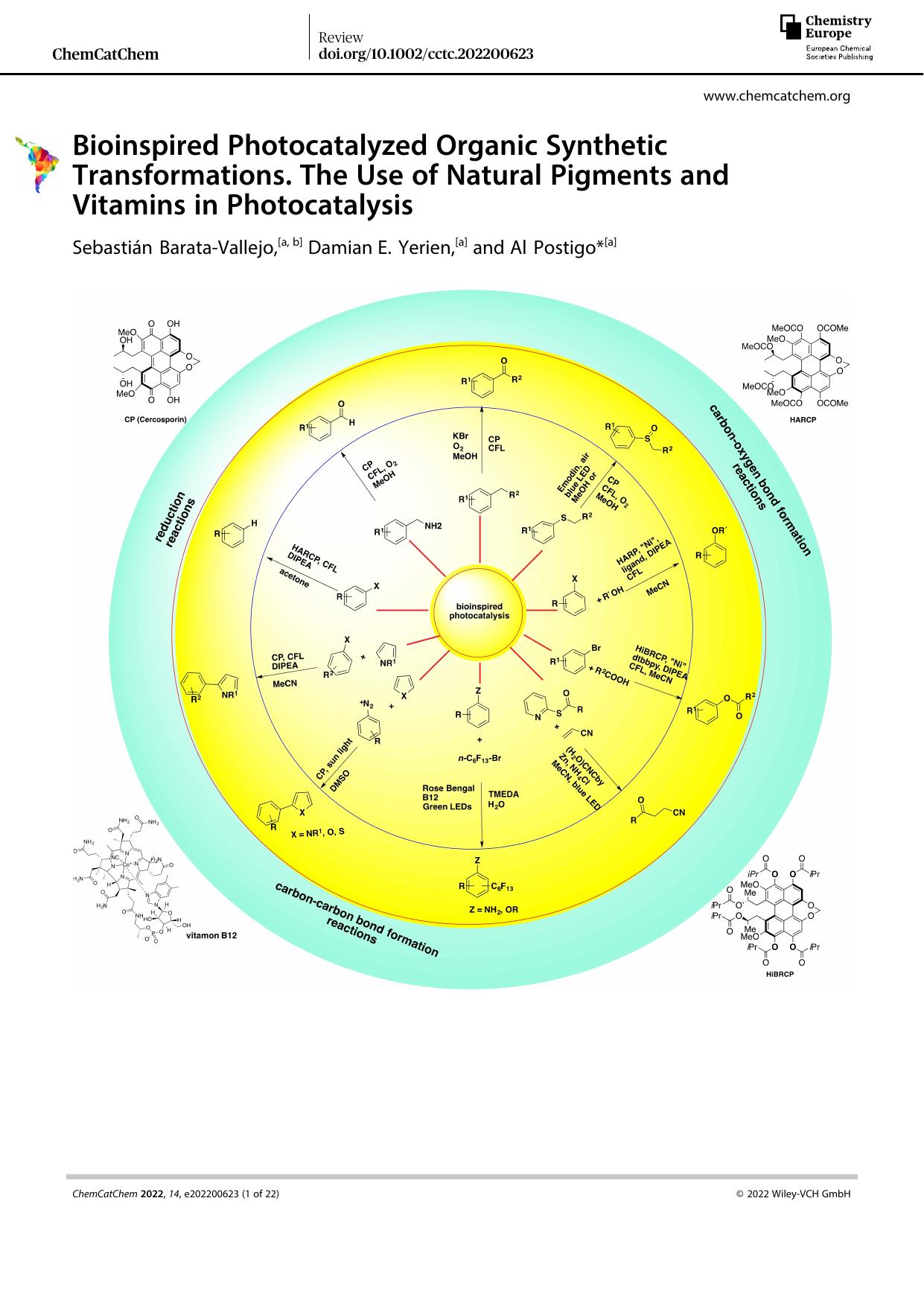 Bioinspired Photocatalyzed Organic Synthetic Transformations. The Use of Natural Pigments and Vitamins in Photocatalysis by Unknown