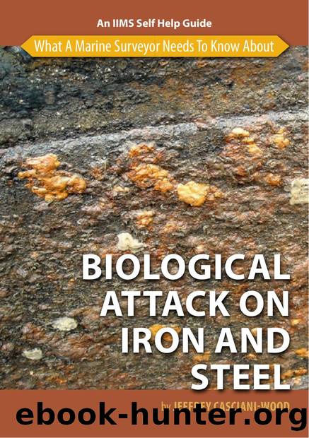 Biological-Attack-on-Iron-and-Steel by Unknown