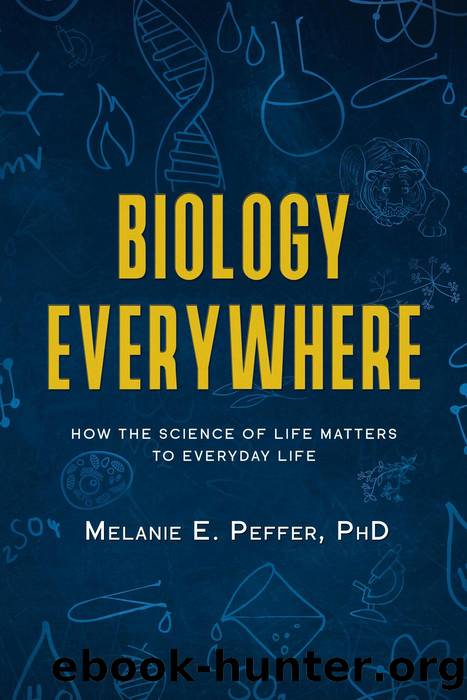 Biology Everywhere by Melanie Peffer