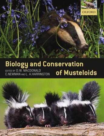 Biology and Conservation of Musteloids by David W. Macdonald (editor) Chris Newman (editor) Lauren A. Harrington (editor)