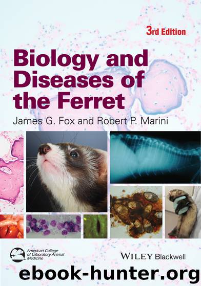 Biology and Diseases of the Ferret by Fox James G.; Marini Robert P.; & Robert P. Marini