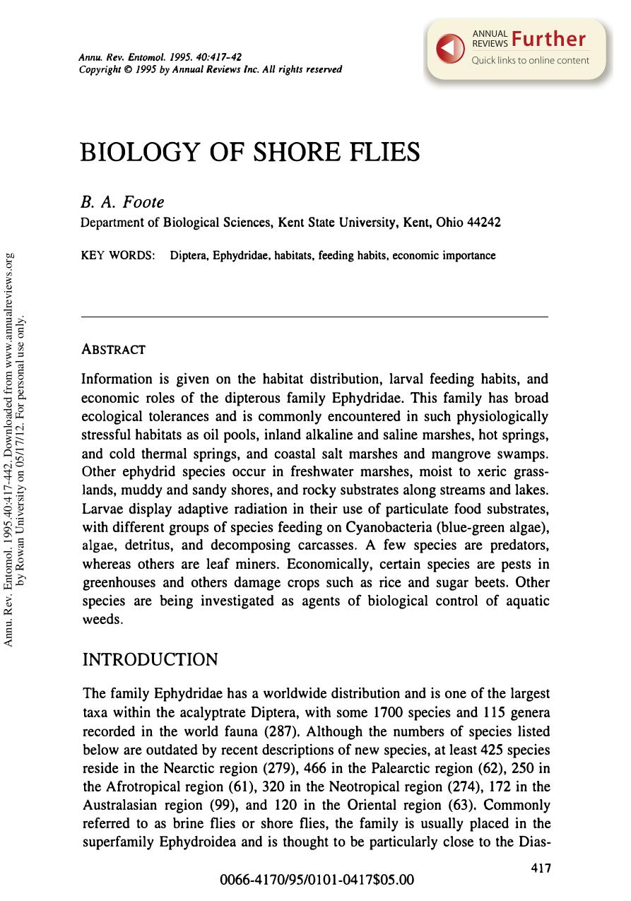 Biology of Shore Flies by B A Foote