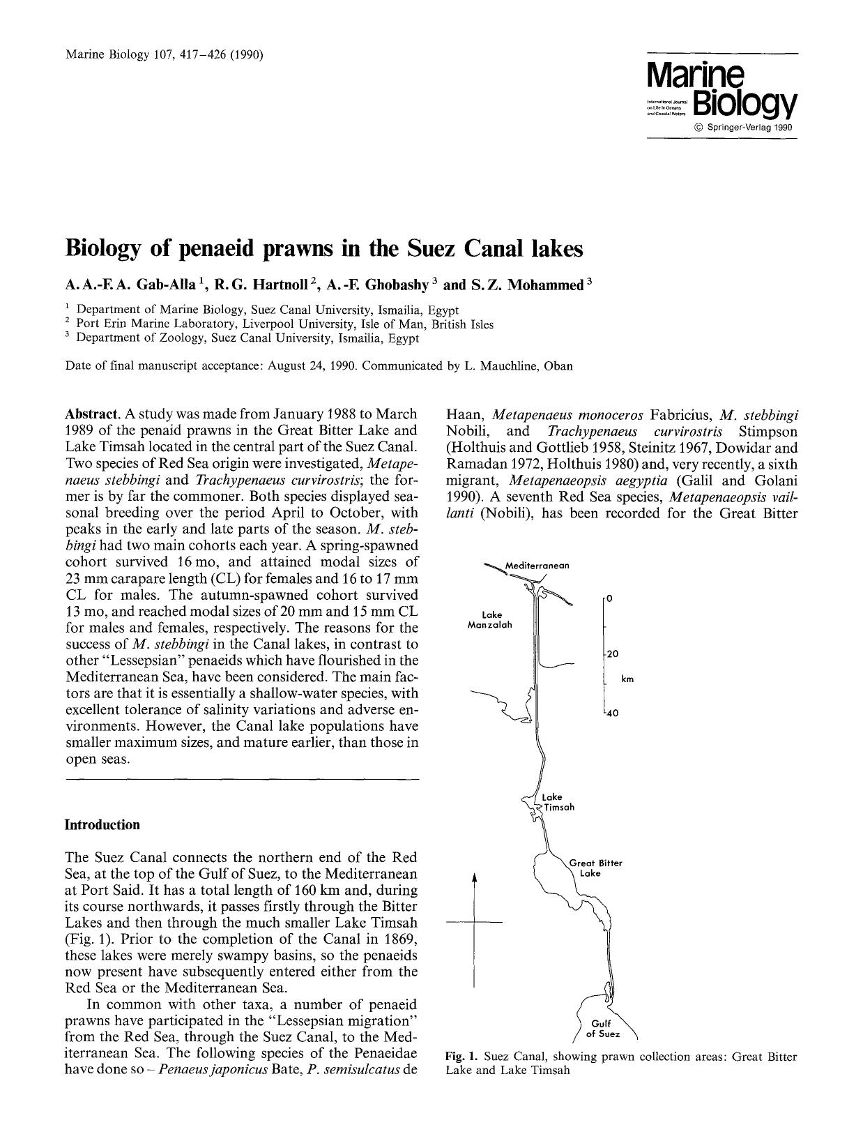 Biology of penaeid prawns in the Suez Canal lakes by Unknown