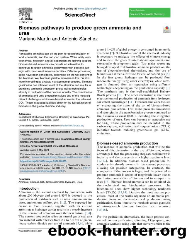 Biomass pathways to produce green ammonia and urea by Mariano Martín & Antonio Sánchez