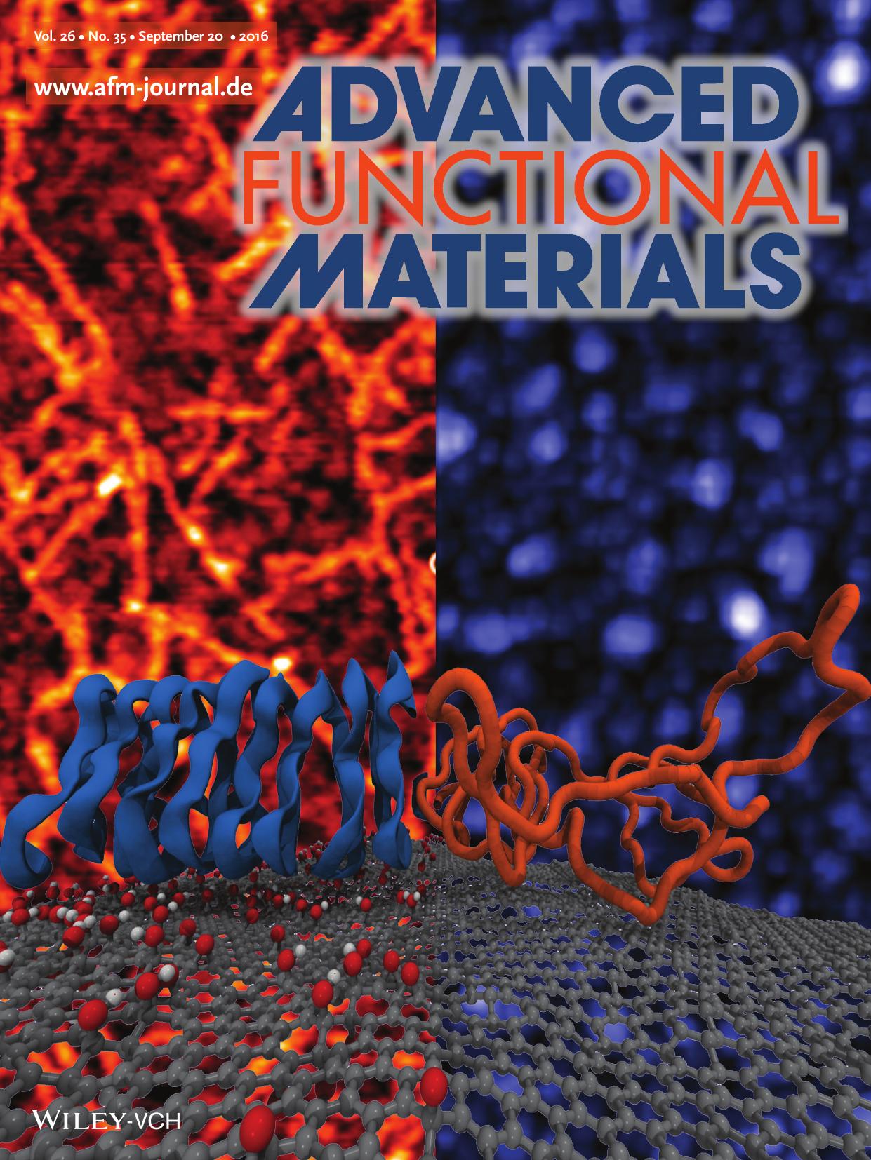 Bionanocomposites: Silk Fibroin–Substrate Interactions at Heterogeneous Nanocomposite Interfaces (Adv. Funct. Mater. 35/2016) by Unknown
