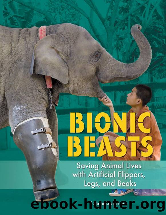 Bionic Beasts by JOLENE GUTIÉRREZ