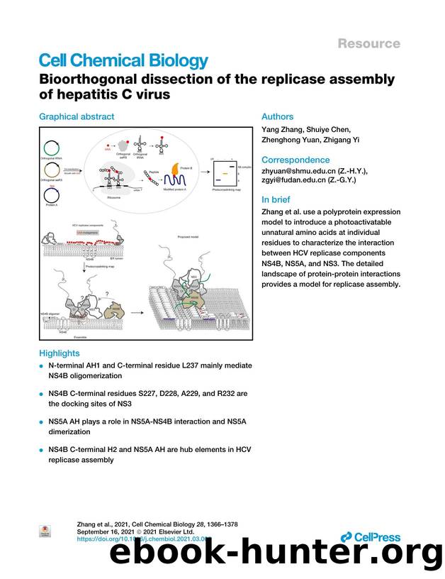 Bioorthogonal dissection of the replicase assembly of hepatitis C virus by Yang Zhang & Shuiye Chen & Zhenghong Yuan & Zhigang Yi