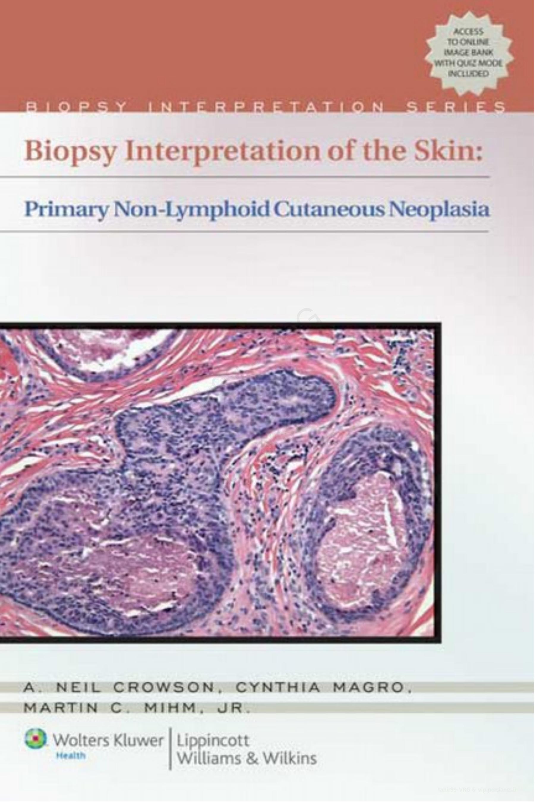 Biopsy Interpretation of the Skin, 1E (2010) [PDF] [UnitedVRG] by Unknown