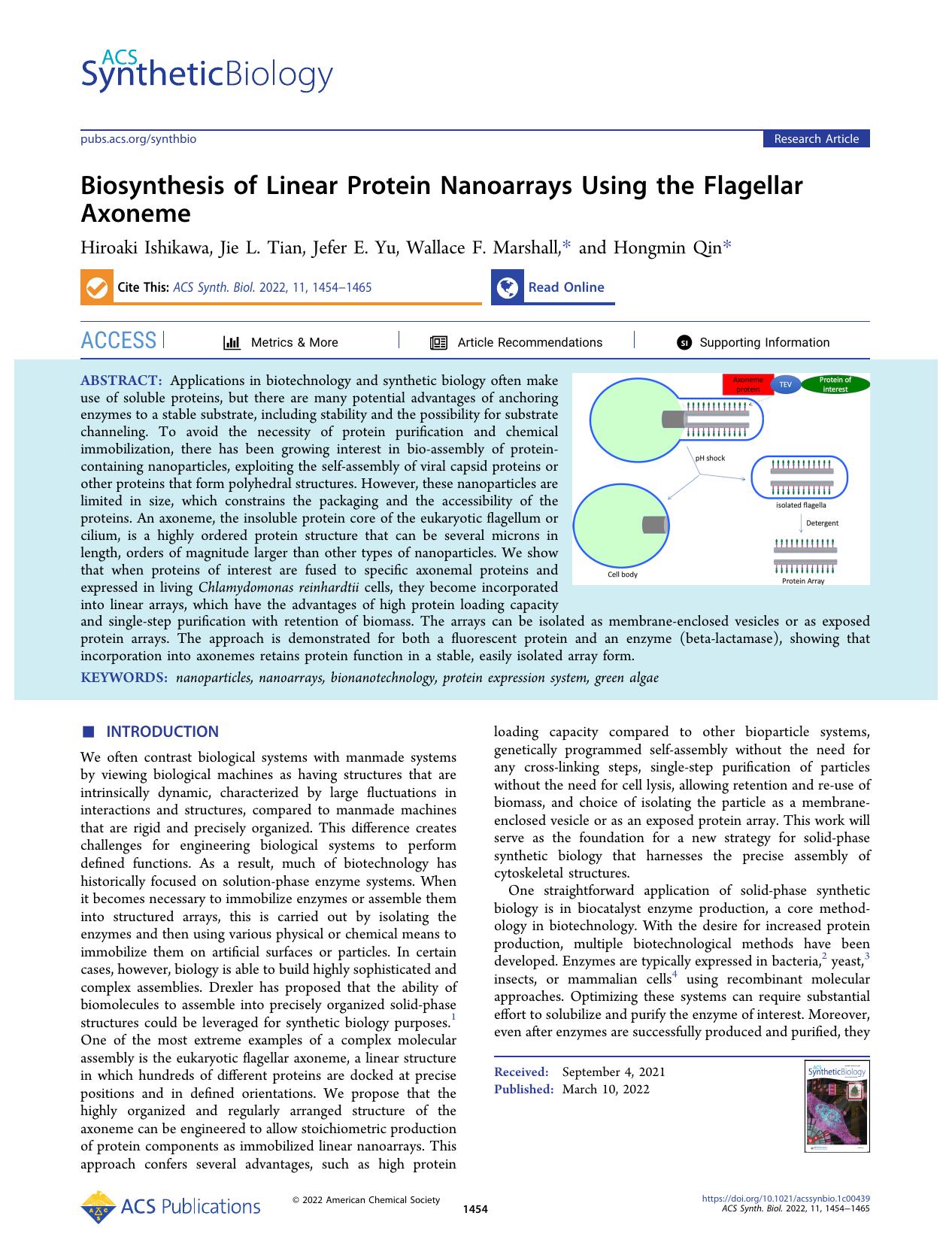 Biosynthesis of Linear Protein Nanoarrays Using the Flagellar Axoneme by Hiroaki Ishikawa Jie L. Tian Jefer E. Yu Wallace F. Marshall and Hongmin Qin