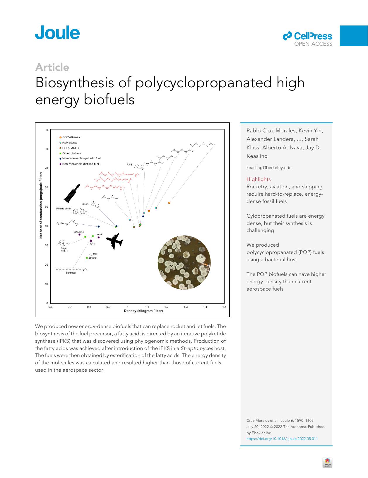 Biosynthesis of polycyclopropanated high energy biofuels by unknow