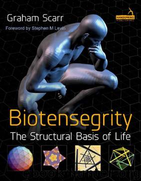 Biotensegrity: The Architecture of Life by Graham Scarr