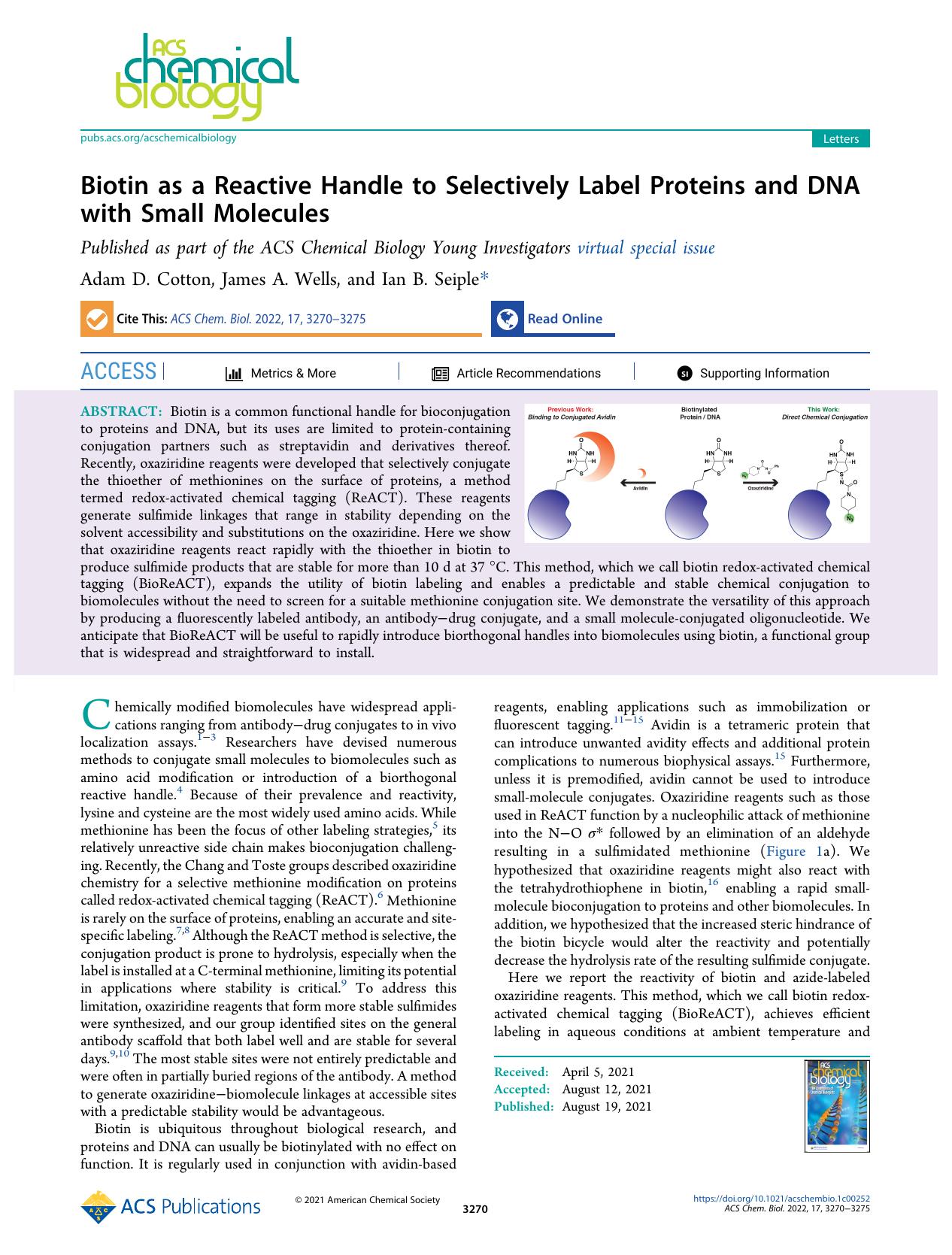 Biotin as a Reactive Handle to Selectively Label Proteins and DNA with Small Molecules by Adam D. Cotton James A. Wells and Ian B. Seiple
