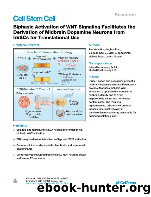 Biphasic Activation of WNT Signaling Facilitates the Derivation of Midbrain Dopamine Neurons from hESCs for Translational Use by unknow