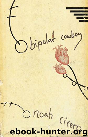 Bipolar Cowboy by Noah Cicero