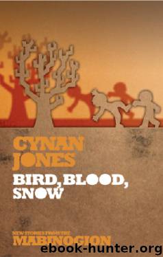 Bird Blood Snow by Cynan Jones