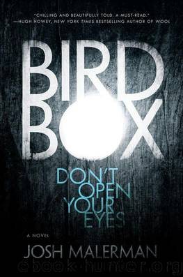 Bird Box A Novel by Josh Malerman