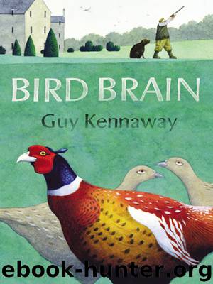 Bird Brain by Guy Kennaway
