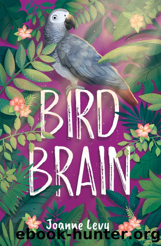 Bird Brain by Joanne Levy