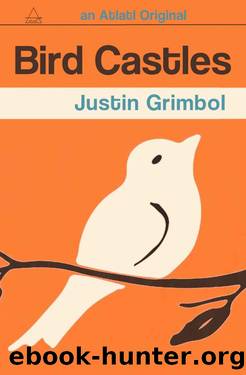 Bird Castles: A Sag Harbor Novel by Justin Grimbol