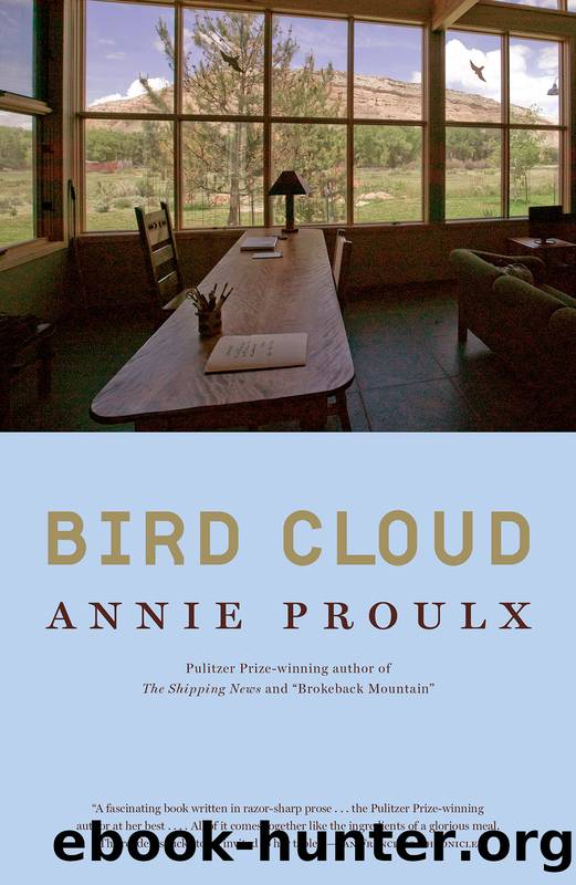 Bird Cloud by Annie Proulx