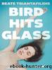 Bird Hits Glass by Beate Triantafilidis