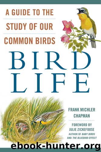 Bird Life by Frank Michler Chapman