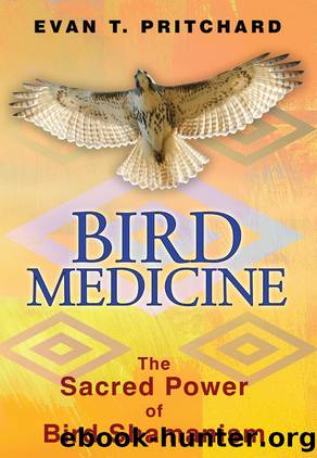 Bird Medicine by Evan T. Pritchard