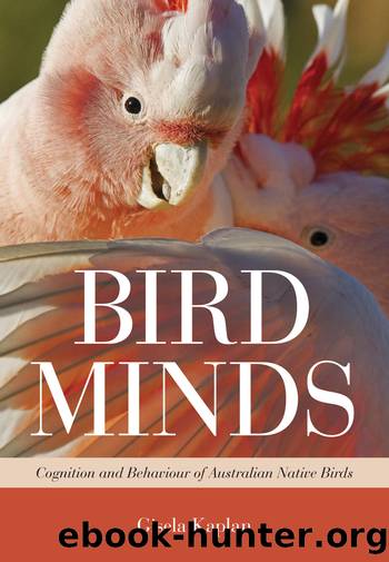 Bird Minds: Cognition and Behaviour of Australian Native Birds by Gisela Kaplan